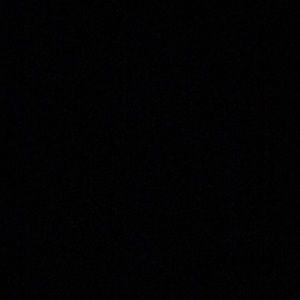 Meet your Posher, Selma